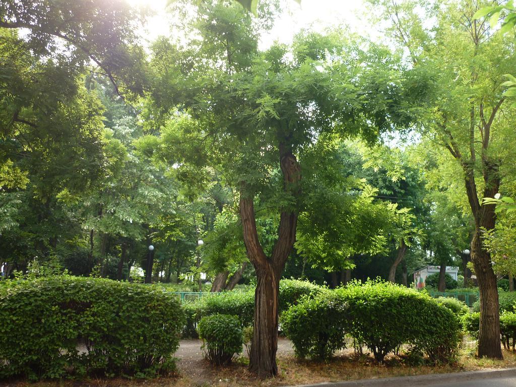 Sea Garden Plaza Apartment - Free Parking Burgas Ruang foto